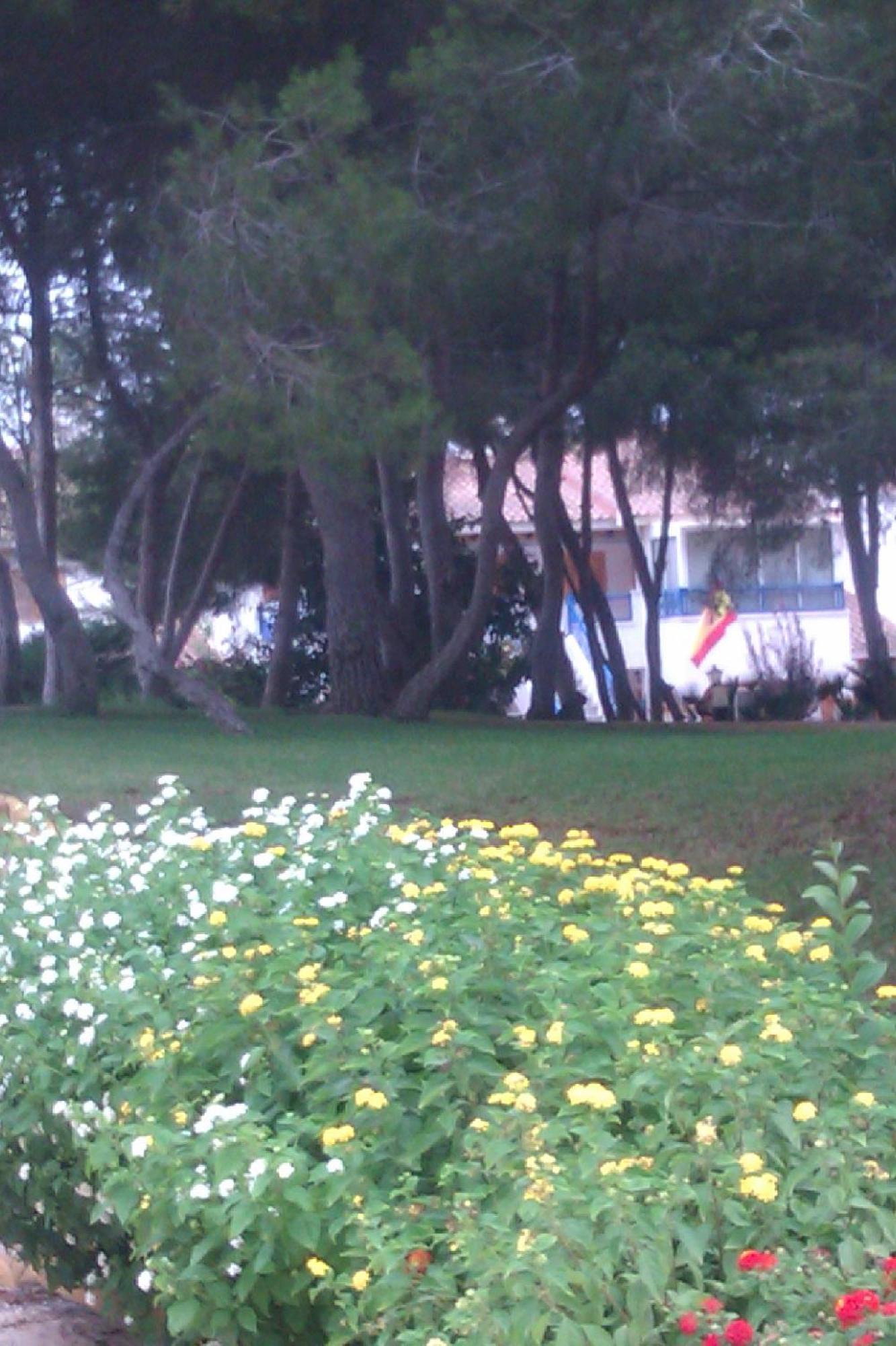 Chalet Adosado En Riomar-3, Urbanizacion Residencial Privada Torre de la Horadada エクステリア 写真